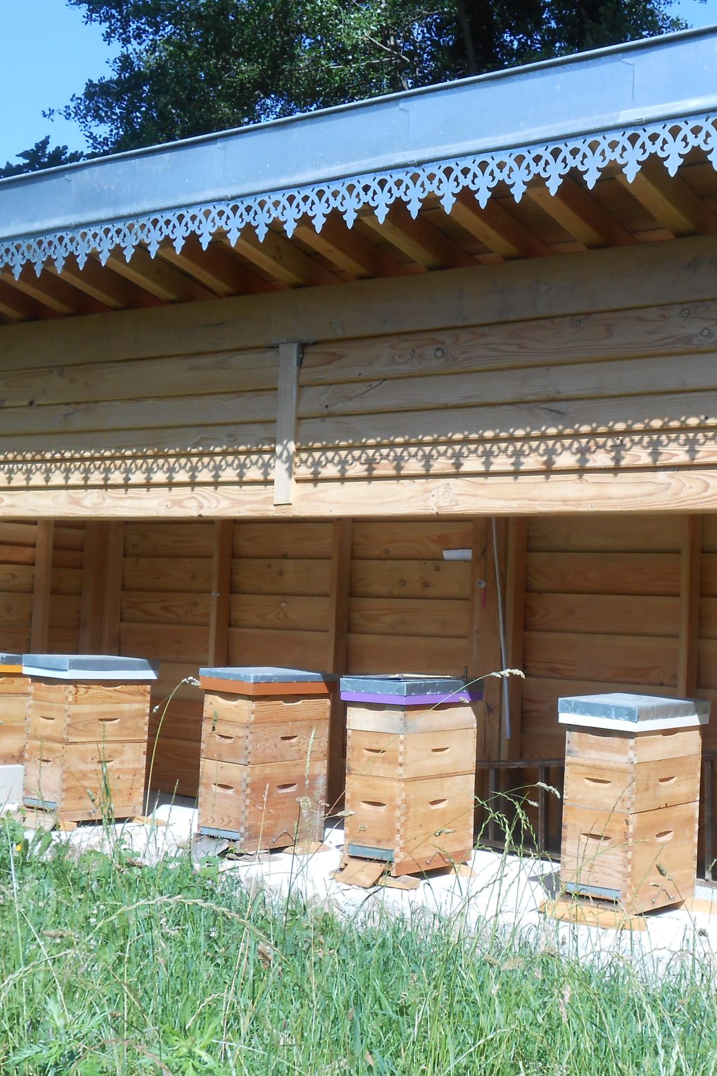 Lambrequin de toit sur rucher, modèle Fecamp en zinc naturel, ORNABAT